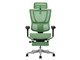 Ergohuman FIT2 Ottoman FIT2-LPL-5D-DR-BF-GN [�O���[��]