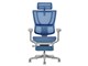 Ergohuman FIT2 Ottoman FIT2-LPL-5D-DR-GF-BL [�u���[]