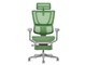 Ergohuman FIT2 Ottoman FIT2-LPL-5D-DR-GF-GN [�O���[��]
