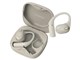 Victor nearphones HA-NP80T-C [�G�N�����x�[�W��]