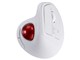 Digio2 MUS-TBKF264W [�z���C�g]