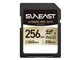 SE-FS1256G23G1F [256GB]