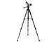 �W�I�}�~�j ED50 ZOOM PS-149�O�r�Z�b�g [�u���E��]