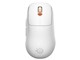 Rival Pro [�z���C�g]