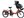 �A���W�F���[�m�v�e�B�b�g e C300 A20L36 [F.�\���b�h�I�����W] + ��p�[�d��
