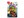 X[p[}I 3D[h + t[[[h [Nintendo Switch]
