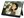 WT-140LP-BK [14�C���`]