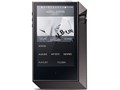 Astell&Kern AK240-256GB-GM [256GB]