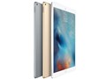 iPad Pro Wi-Fi+Cellular 128GB SoftBank [�V���o�[]
