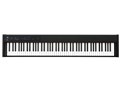 DIGITAL PIANO D1