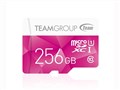 TCUSDX256GUHS46 [256GB]