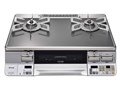 NVGvC RTE65VAGPA-GL LP
