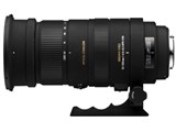 ❁大迫力！超望遠❁SIGMA 50-500mm DG OS HSM キャノン用 Amazon | シグマ 50-500mm F4-6.3 EX DG HSM キヤノン用