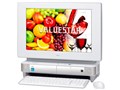 VALUESTAR W VW300/KG