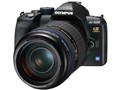 E-520 ]600mmLbg