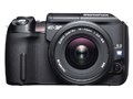 E-300 YZbg