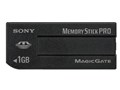 MSX-1GS (1GB)