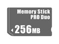 [XeBbN PRO DUO 256MB̐i摜
