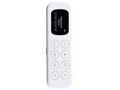DP250 �z���C�g (2GB)