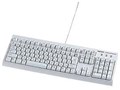 SKB-MK1W �i�z���C�g�j