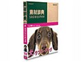 素材辞典 Vol.159 犬-ラブリードッグ編