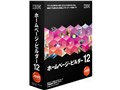 IBM �z�[���y�[�W�E�r���_�[12