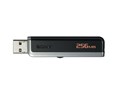 PocketBit USM256J (256MB)