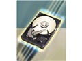 ST3160023AS (160G SATA150 7200)