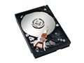ST320014A (20GB U100 5400)