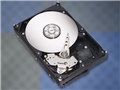 ST3250823AS (250GB SATAII 7200)