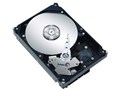 ST3160811AS (160G SATA300 7200)
