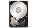 ST31000333AS (1TB SATA300 7200)