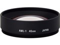 AML-1