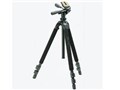 �v�� 500 DX-AMT