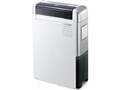 RAD-100DWX