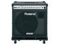 D-BASS 115