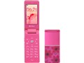 SoftBank 821N