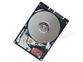 ハードディスク 250GB HP3-44