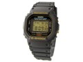 G-SHOCK DW-5600EG-9V [�C�O���f��]