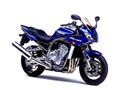 FZS1000