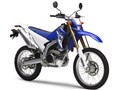 WR250R