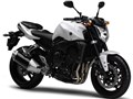 FZ1