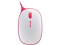 Express mouse