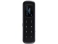DP250 [2GB]