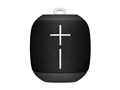 UE WONDERBOOM WS650