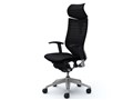 Baron CP81DR