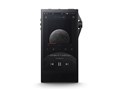 Astell&Kern SA700 [128GB]