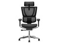 Ergohuman FIT2 FIT2-HAM-DR-BF