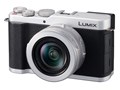 LUMIX DC-L10