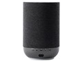 Denon Home 200